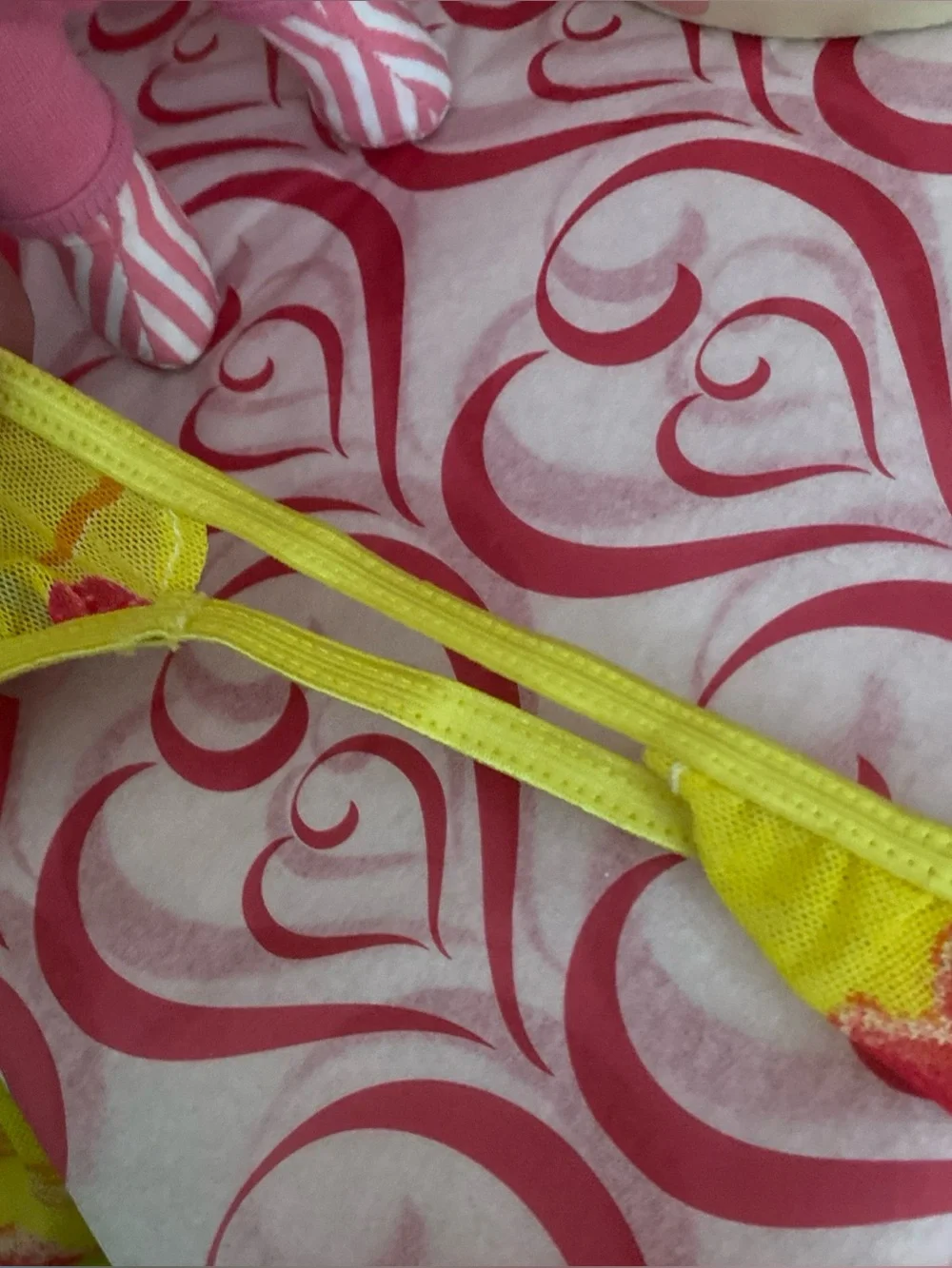 Essence Of Body Soul NWT Wom 12 Sheer Colorful Panties Dual Side String Bikini